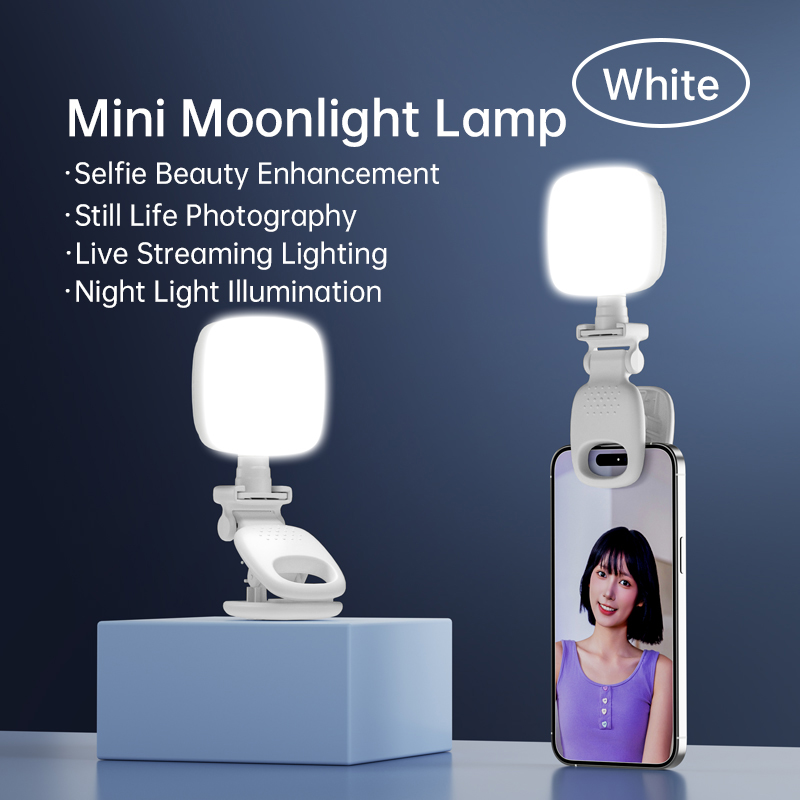 Lighting Gallery - Luz LED portátil para Selfie, cámara,